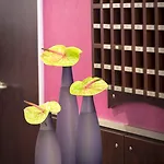 Hotel Albion